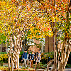 Students walking outside on a fall day. Links to Gifts That Protect Your Assets